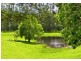 869 South Arm Road, Bellingen NSW 2454