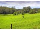 869 South Arm Road, Bellingen NSW 2454