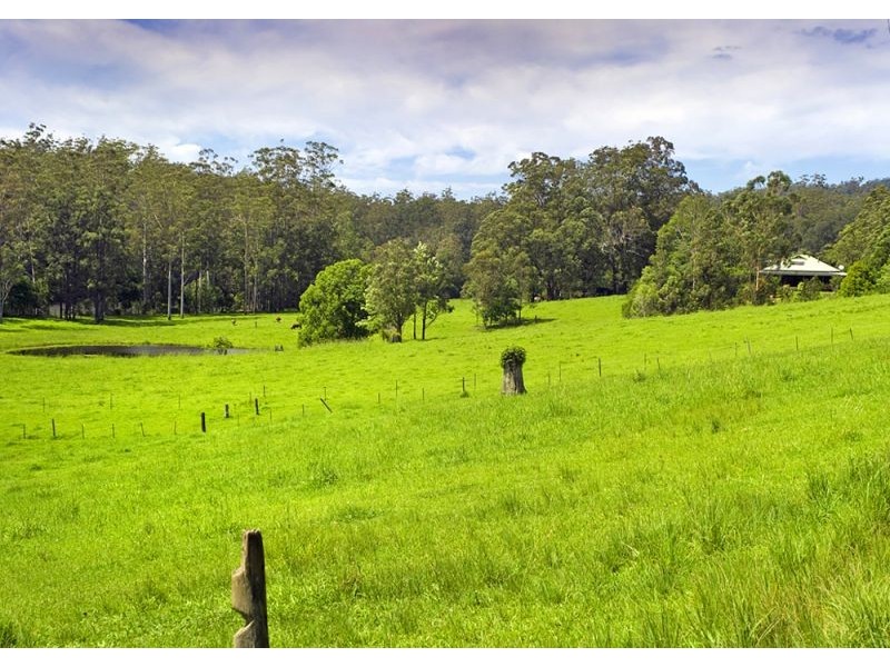 869 South Arm Road, Bellingen NSW 2454