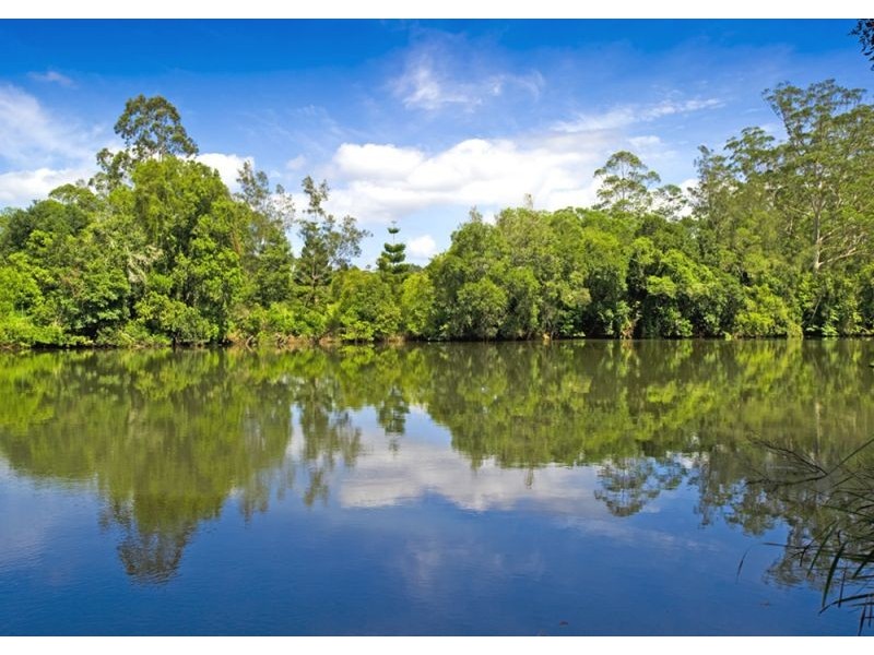 869 South Arm Road, Bellingen NSW 2454