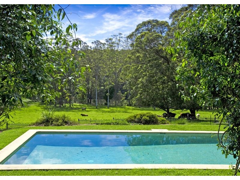 869 South Arm Road, Bellingen NSW 2454