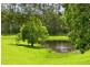 869 South Arm Road, Bellingen NSW 2454