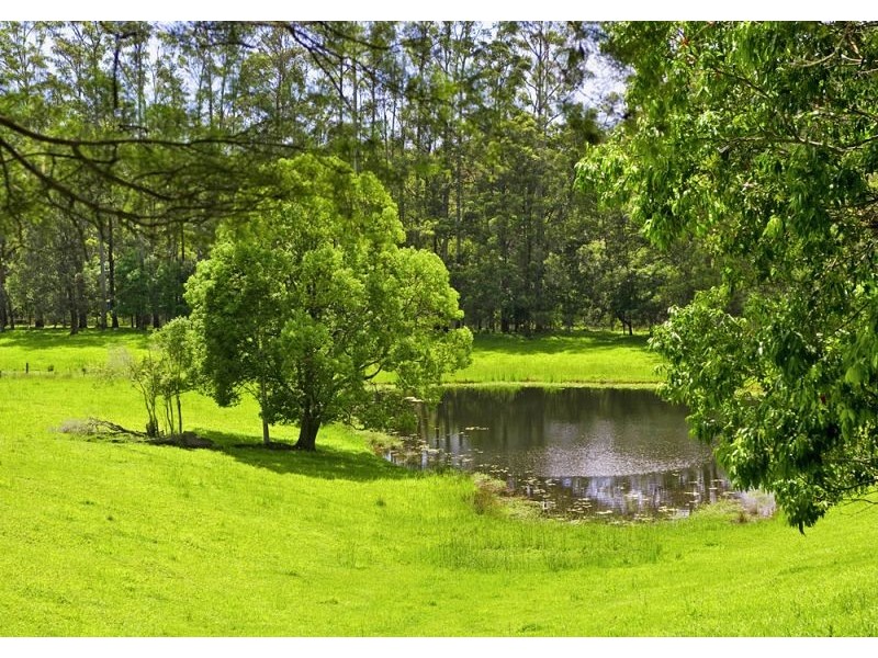 869 South Arm Road, Bellingen NSW 2454