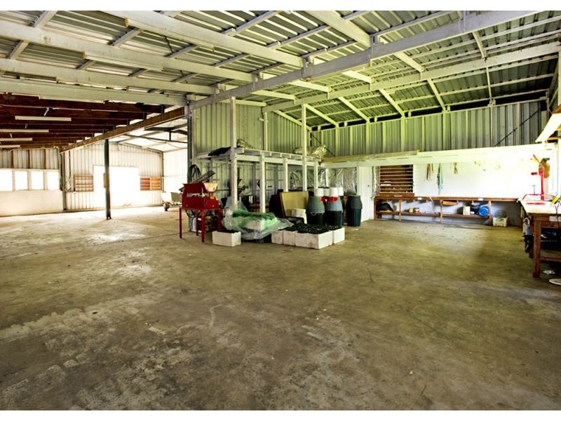 869 South Arm Road, Bellingen NSW 2454