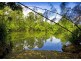 869 South Arm Road, Bellingen NSW 2454