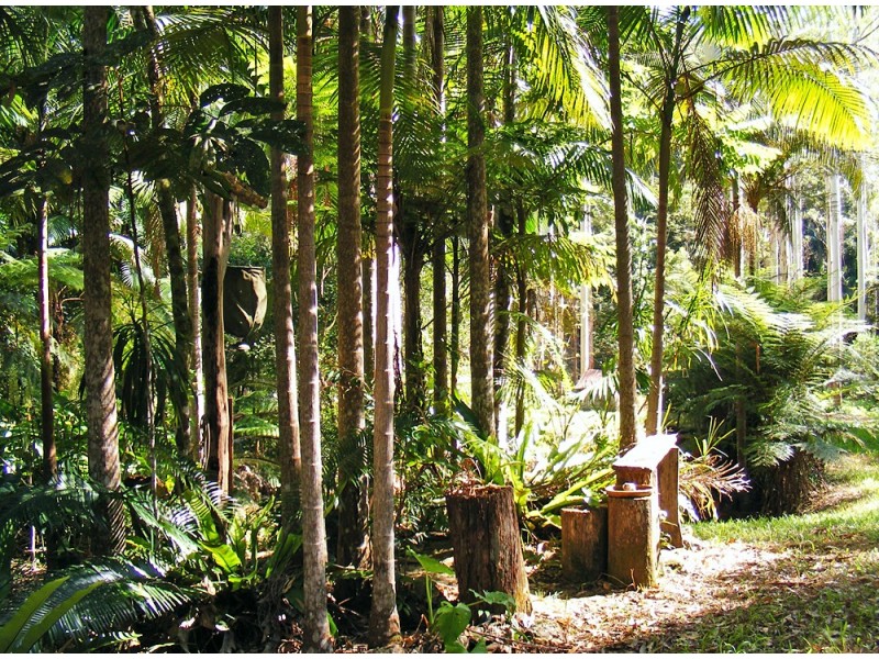 Kennaicle Creek NSW 2449
