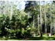 Kennaicle Creek NSW 2449