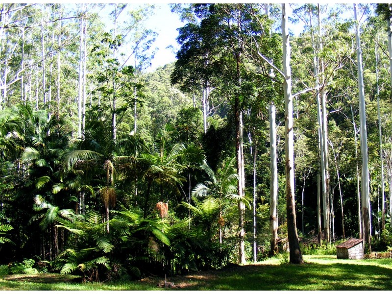 Kennaicle Creek NSW 2449