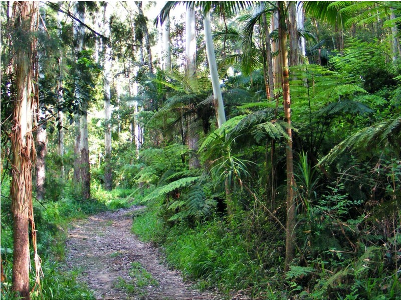 Kennaicle Creek NSW 2449