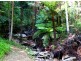 Kennaicle Creek NSW 2449