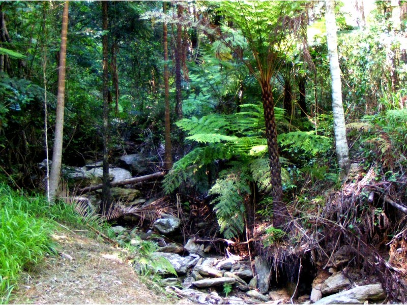 Kennaicle Creek NSW 2449