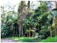 Kennaicle Creek NSW 2449