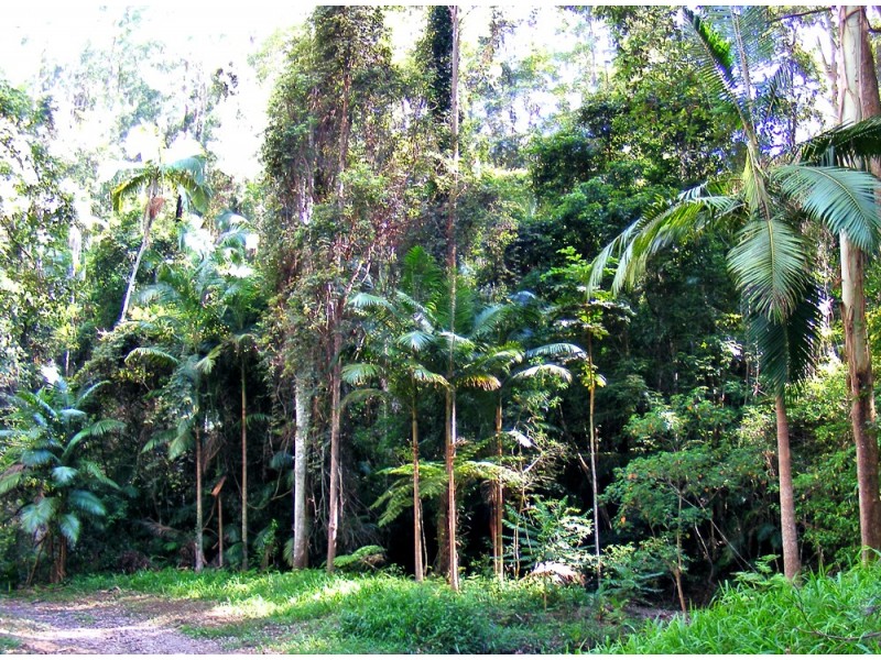 Kennaicle Creek NSW 2449