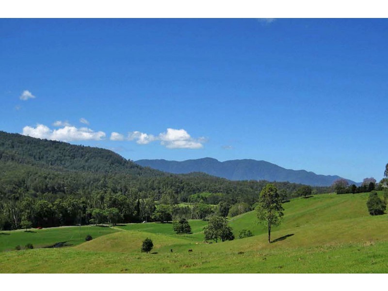 Bellingen NSW 2454