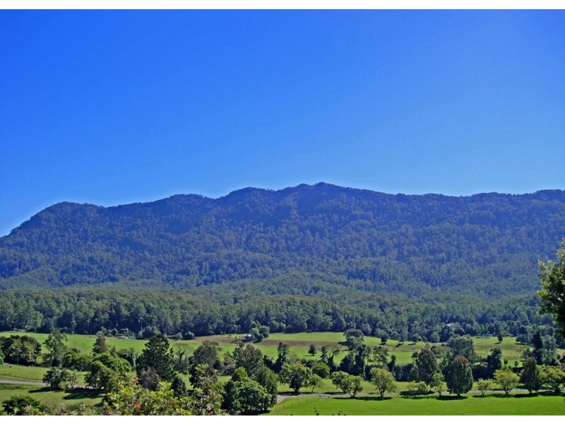 Bellingen NSW 2454
