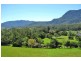 Bellingen NSW 2454