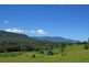 2209 Waterfall Way, Bellingen NSW 2454