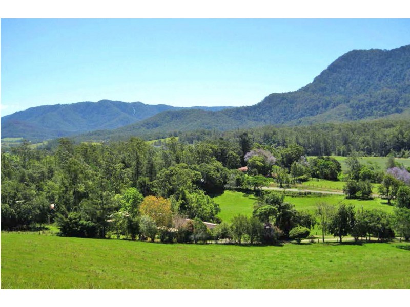 2209 Waterfall Way, Bellingen NSW 2454