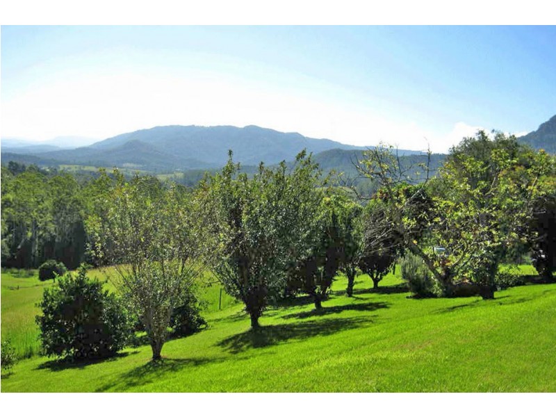 2209 Waterfall Way, Bellingen NSW 2454