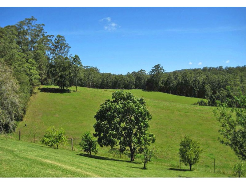 2209 Waterfall Way, Bellingen NSW 2454