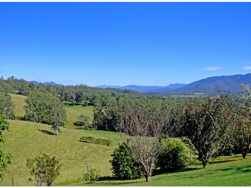 2209 Waterfall Way, Bellingen NSW 2454