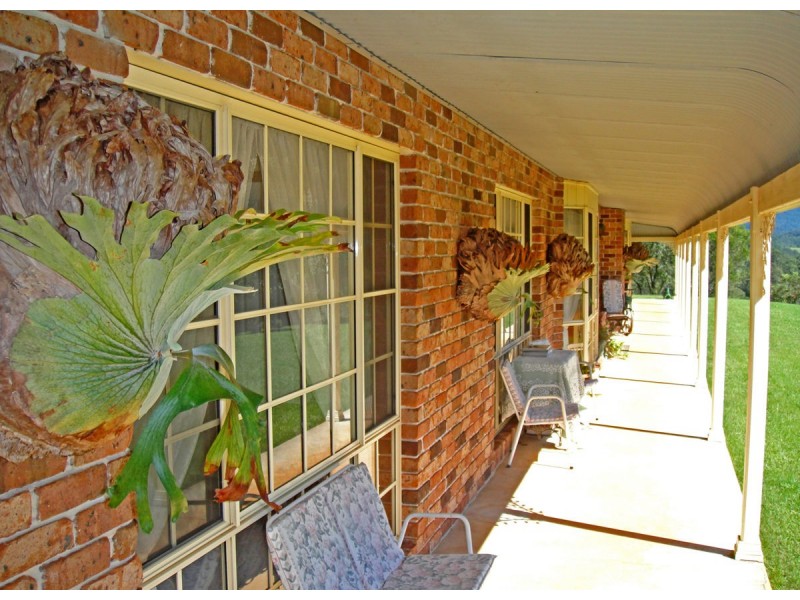 2209 Waterfall Way, Bellingen NSW 2454