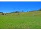 2209 Waterfall Way, Bellingen NSW 2454