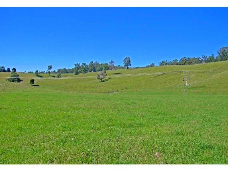 2209 Waterfall Way, Bellingen NSW 2454