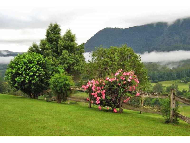 2209 Waterfall Way, Bellingen NSW 2454