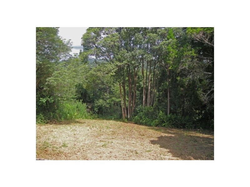 17 McNally Street, Bellingen NSW 2454
