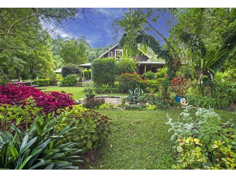 1620 Kalang Road, Bellingen NSW 2454