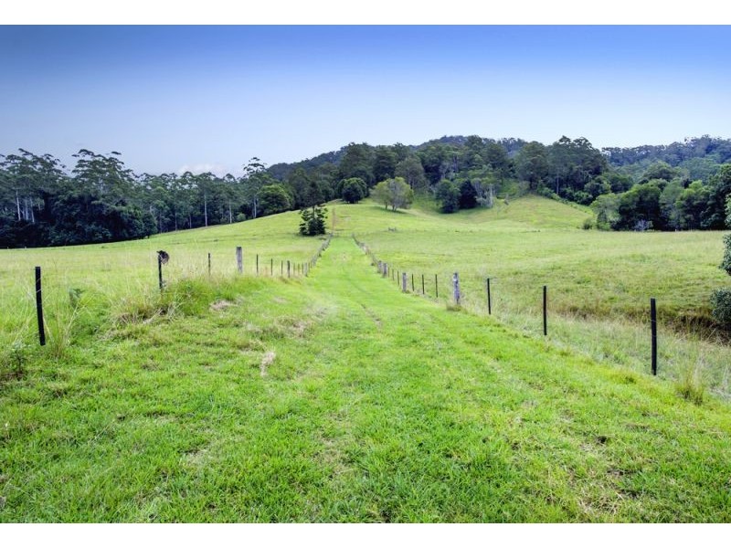 1620 Kalang Road, Bellingen NSW 2454
