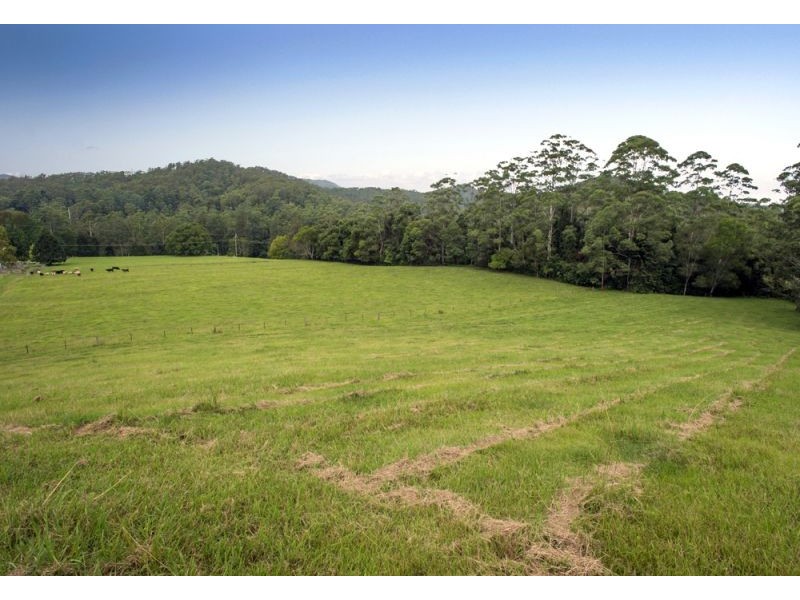 1620 Kalang Road, Bellingen NSW 2454