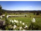 9 Cookies Lane, Way Way, Scotts Head NSW 2447