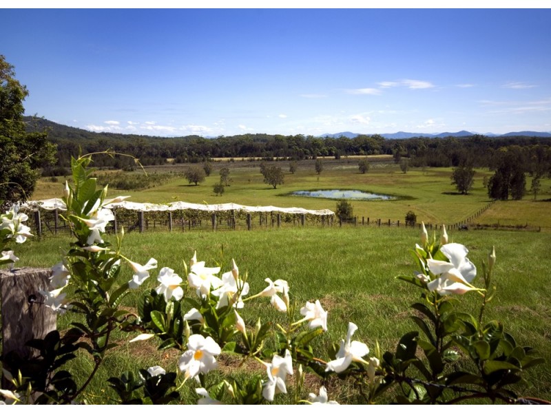 9 Cookies Lane, Way Way, Scotts Head NSW 2447