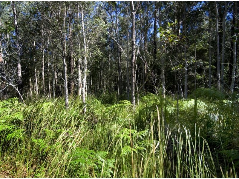 Nambucca Heads NSW 2448