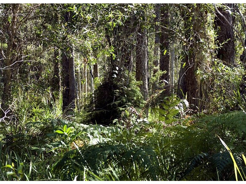 Nambucca Heads NSW 2448