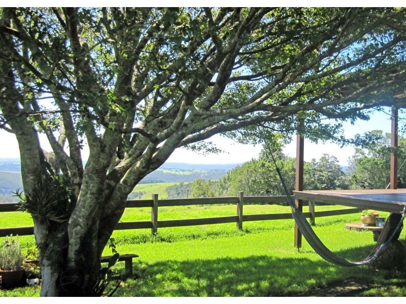 5050 Waterfall Way, Dorrigo NSW 2453