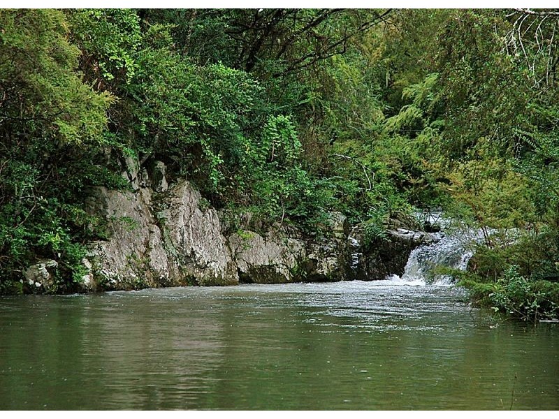 5050 Waterfall Way, Dorrigo NSW 2453