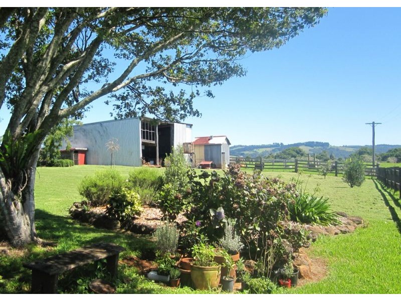 5050 Waterfall Way, Dorrigo NSW 2453