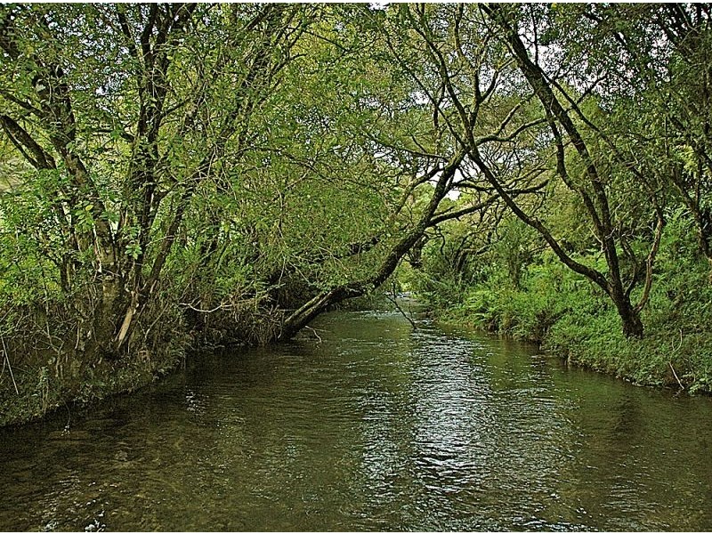 5050 Waterfall Way, Dorrigo NSW 2453