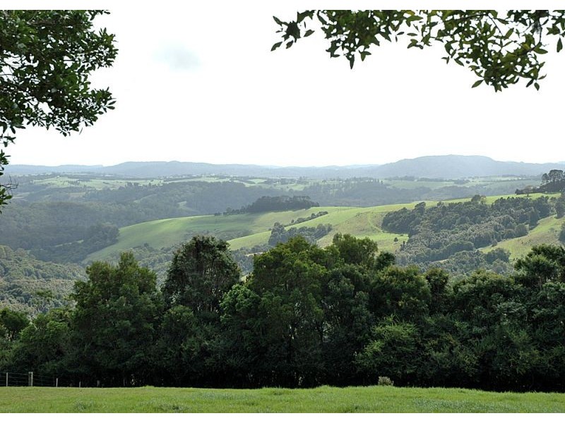 5050 Waterfall Way, Dorrigo NSW 2453