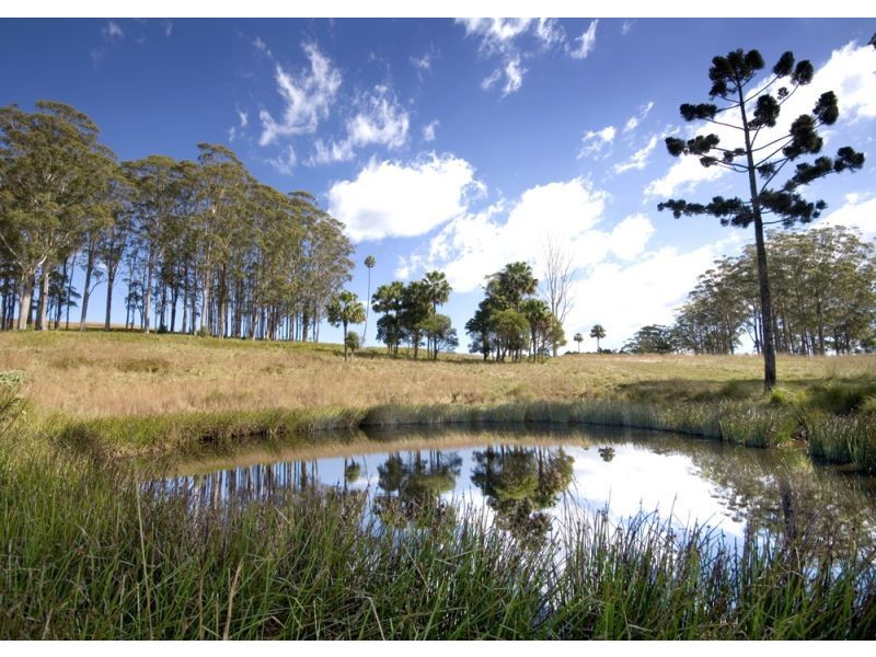 Lot 57 Upper Bo Bo Brooklana, Dorrigo NSW 2453