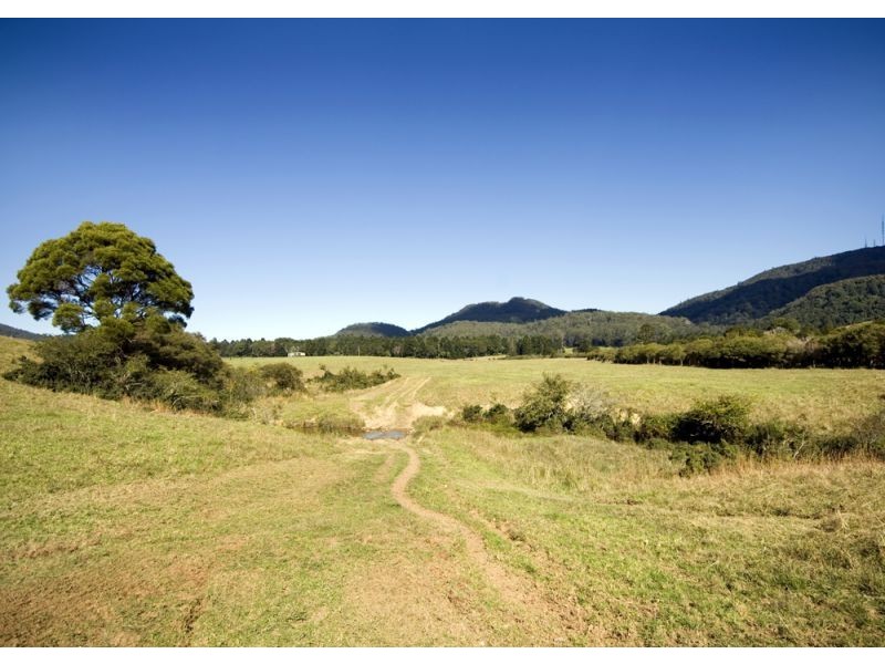 Lot 57 Upper Bo Bo Brooklana, Dorrigo NSW 2453