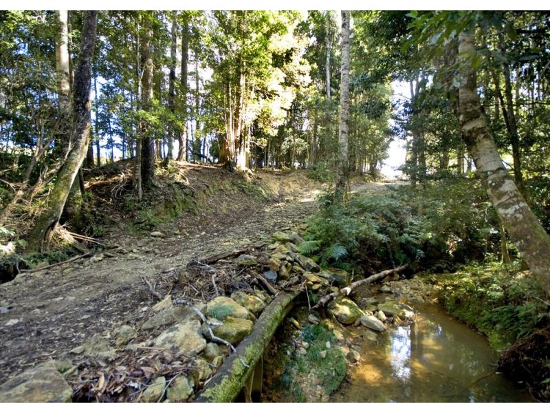 Lot 57 Upper Bo Bo Brooklana, Dorrigo NSW 2453