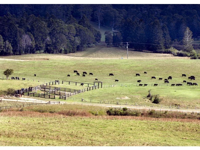 Lot 57 Upper Bo Bo Brooklana, Dorrigo NSW 2453