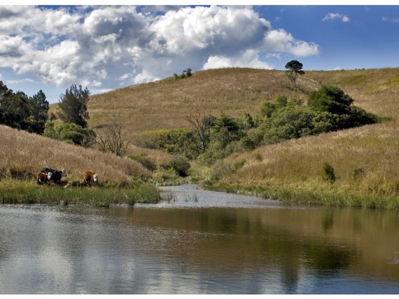 Lot 57 Upper Bo Bo Brooklana, Dorrigo NSW 2453