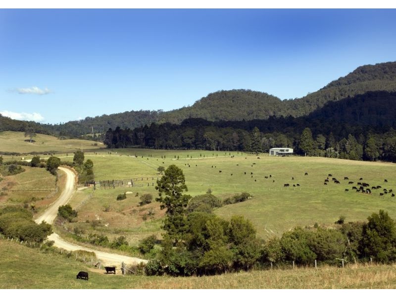 Lot 57 Upper Bo Bo Brooklana, Dorrigo NSW 2453