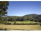 Lot 57 Upper Bo Bo Brooklana, Dorrigo NSW 2453