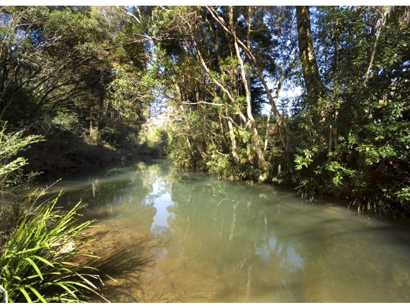 Lot 57 Upper Bo Bo Brooklana, Dorrigo NSW 2453